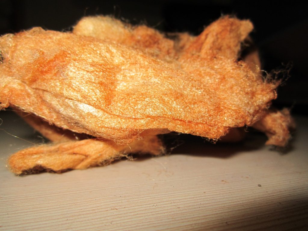 Red Eri Cocoon