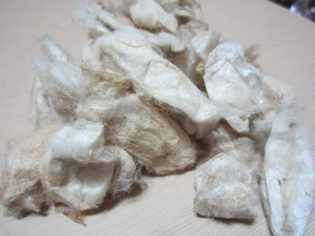 ERI COCOON WHITE