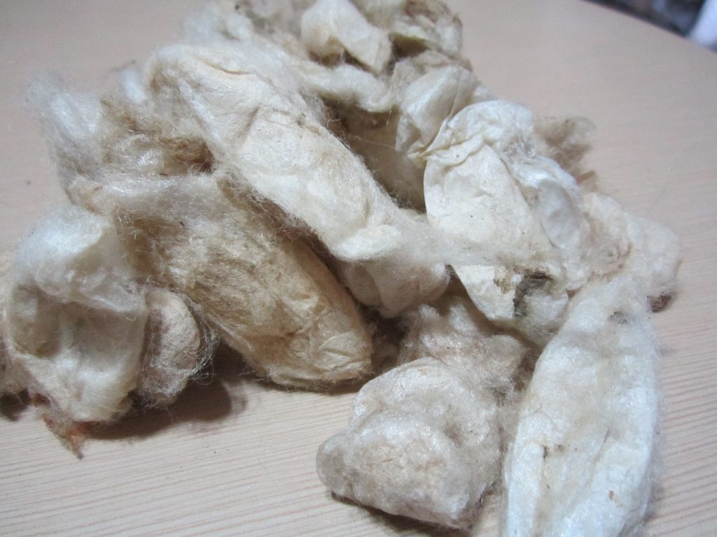 Eri Silk Cocoon – White 2