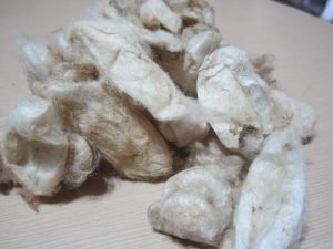 ERI COCOON WHITE2