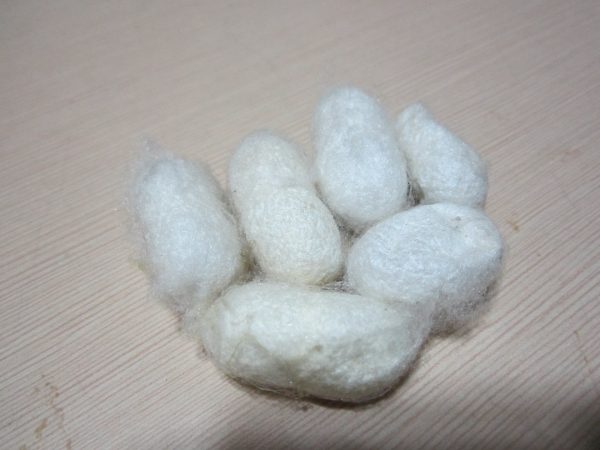 MULBERRY COCOON WHITE