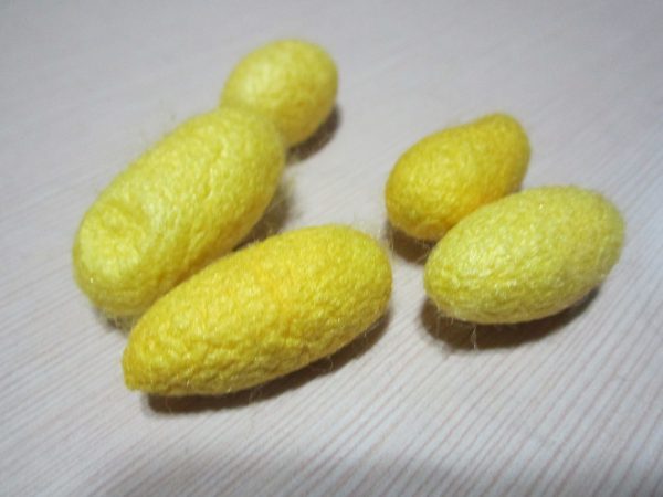 MULBERRY COCOON YELLOW